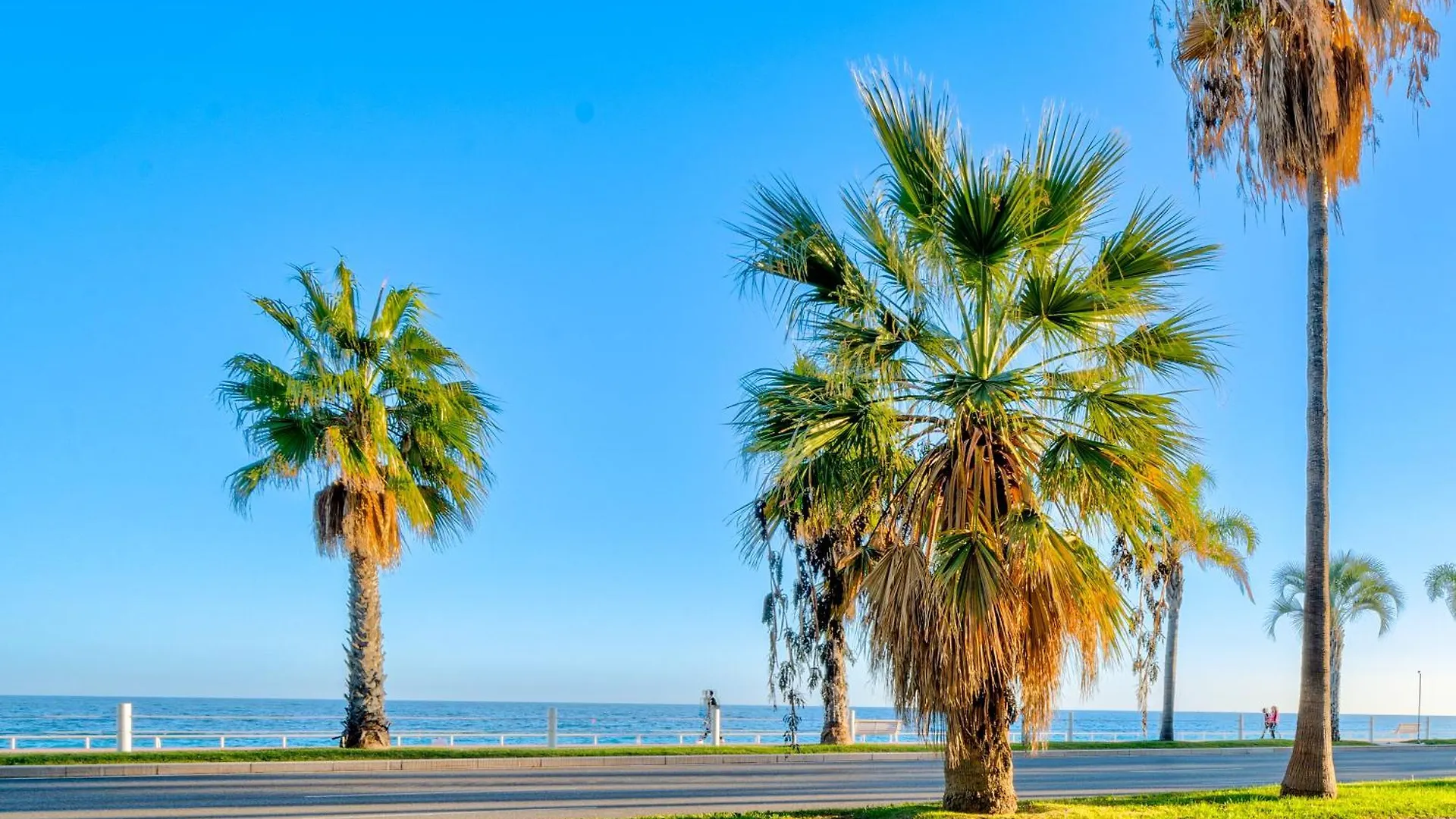 Cosy 2P Promenade Des Anglais Nice 0*,